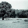 Hoting-Hof, 1873 abgerissen